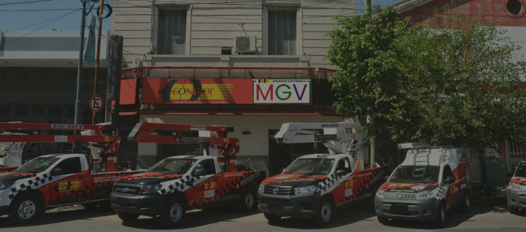 MGV seguridad